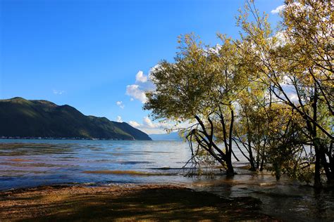 大理到洱海多久?在探索这段旅程中，我们不难发现，时间不仅是衡量距离的尺度，更是一场心灵与自然对话的契机。