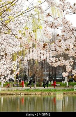 玉合公園怎麼樣 當地居民對玉合公園的評價如何